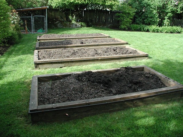 raised beds