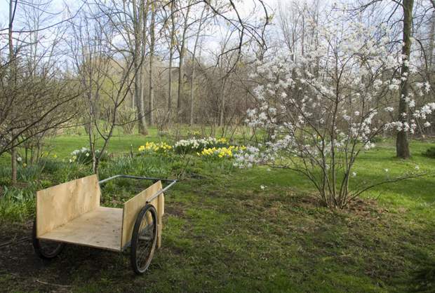 Municipalities urged to save green spaces - image