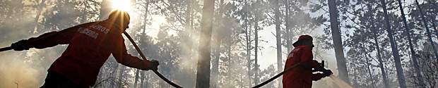 Interactive Map: BC Wildfires - image
