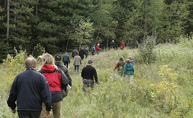 Montreal needs greenbelt, environmental coalition says - image