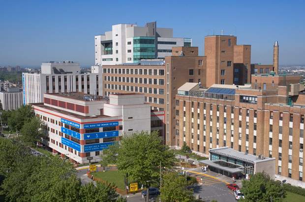 Montreal police called to Jewish General Hospital for patient in distress - image