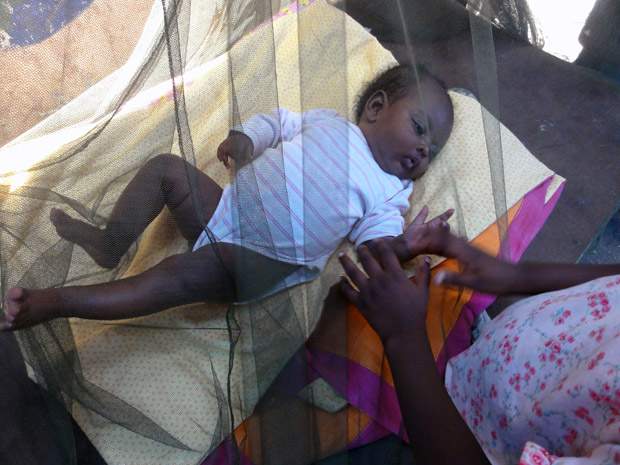 More midwives could saves millions of women’s, infants’ lives: UN - image