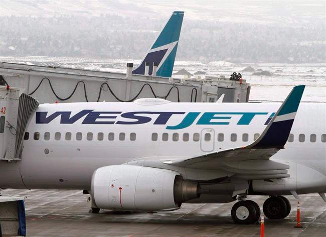 New fees on checked luggage are packing a financial windfall for WestJet, while the airline has plans to up-sell customers on a slew of new products.