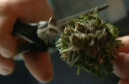 Police crack down on drug trafficking in Southern Sask. - image