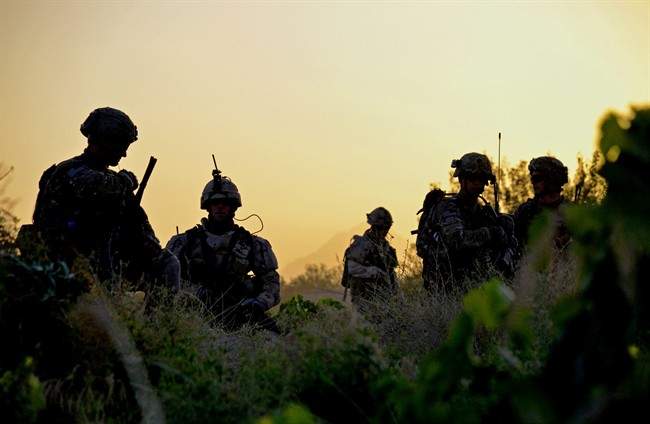 Veterans call for long-term support as another soldier dies by apparent suicide - image