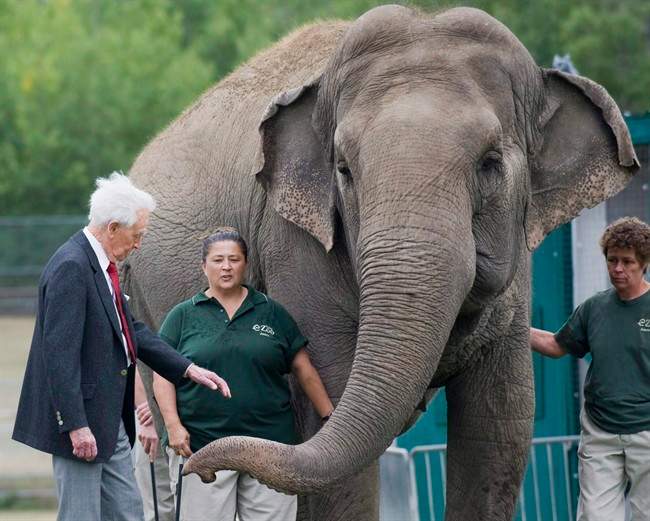 Bob Barker meets Lucy the elephant at Edmonton's River Valley Zoo on September 17, 2009.