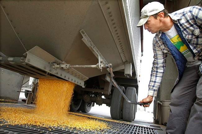 A Manitoba farm advocacy group is urging grain handlers to consider reducing grain elevator fees with lower crop yields expected across the agriculture sector.