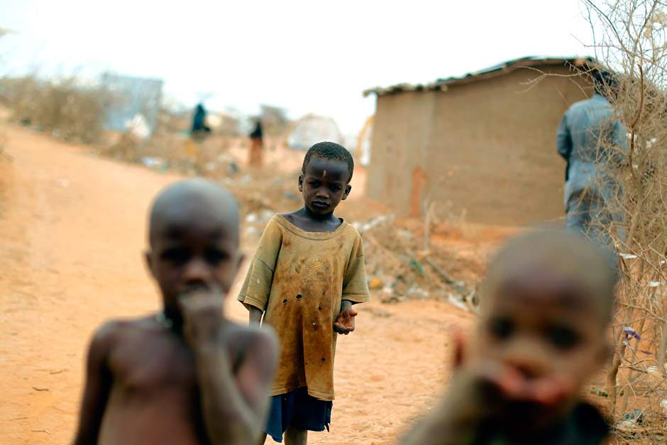 Massive theft of famine aid in Somalia; UN agency probes food aid being sold - image
