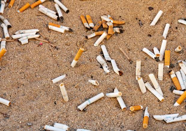 Cigarette butts on the ground.