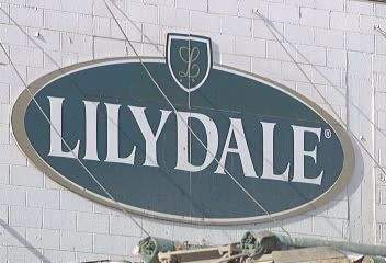 Lilydale file photo.