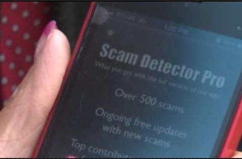 Edmontonian to launch fraud prevention app on the web - image