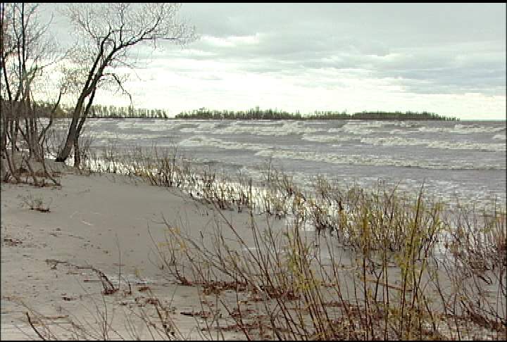 Zebra mussels found in Manitoba lake - image