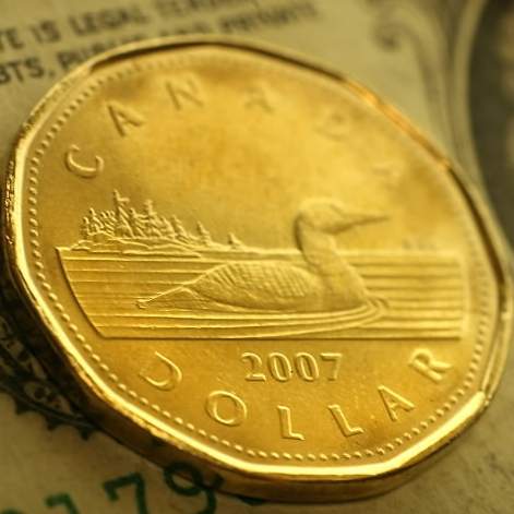 Senate committee launches probe into Canada-U.S. consumer price gaps - image