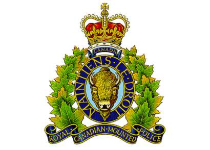 Police arrest man at gunpoint outside of Sedley - image