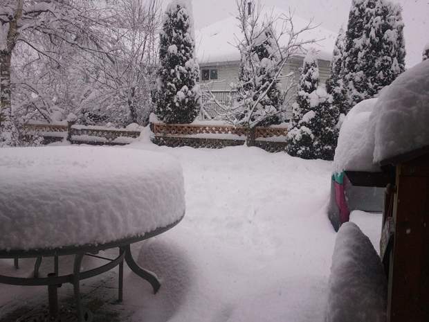 What weather to expect this holiday season and beyond - image