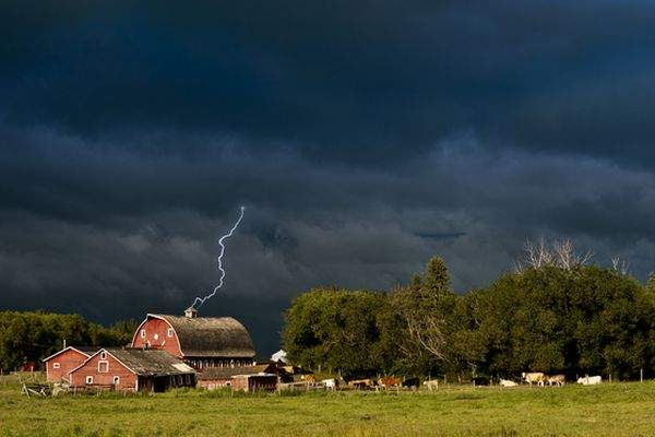 Environment Canada weather forecasts and warnings getting an upgrade - image