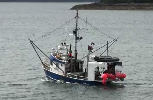 Recreational halibut season ends in B.C.; tensions simmer between fishermen - image