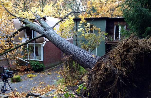 Storm damage on Neville Park Blvd in Toronto. (File/Global News)
