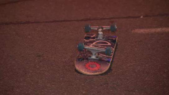 A Winnipeg skateboarder received the city's first public health ticket.