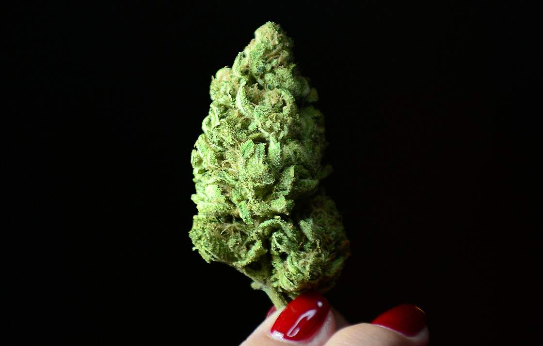 Marijuana