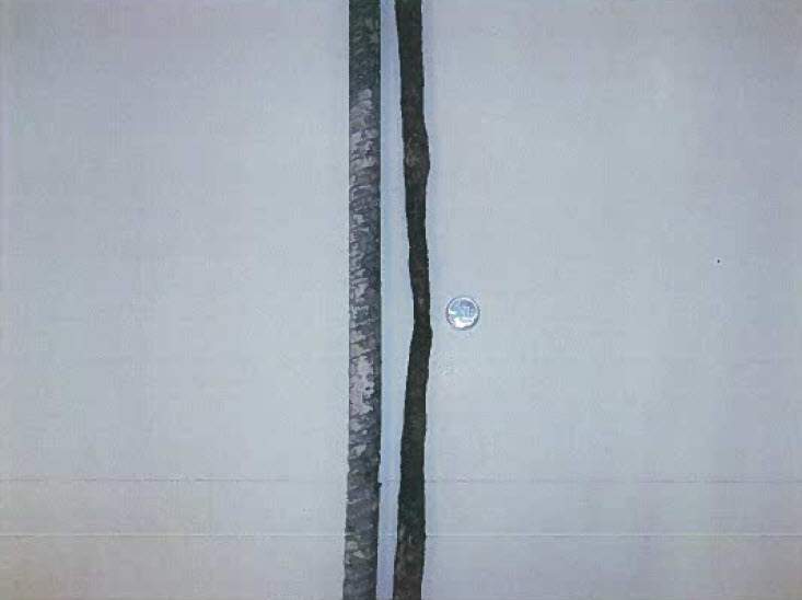 Corroded steel in the Gardiner