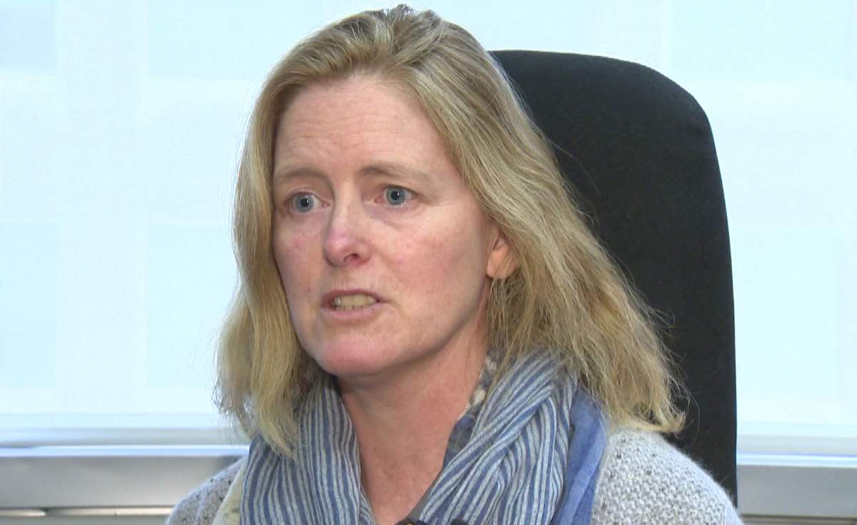 ‘I knew that this was where it was leading’ : Dr. Cleary fired from position as Chief Medical Officer - image