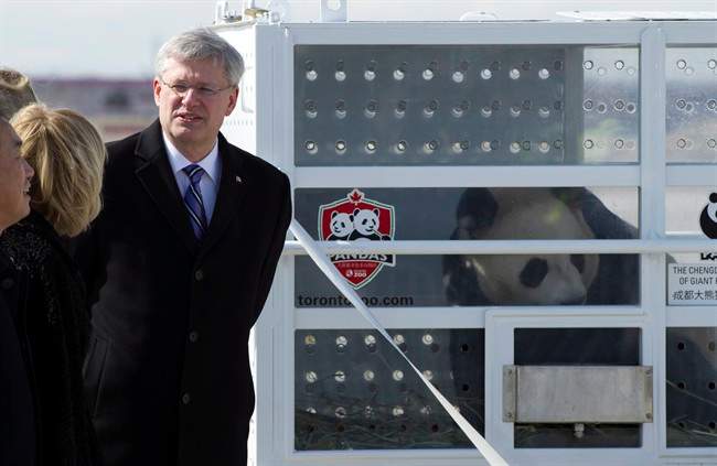 Prime Minister Stephen Harper chats with dignitaries at Pearson Airport in Toronto on March 25, 2015, as he welcomes Da Mao, one of two Giant Pandas on loan to Canada from China.