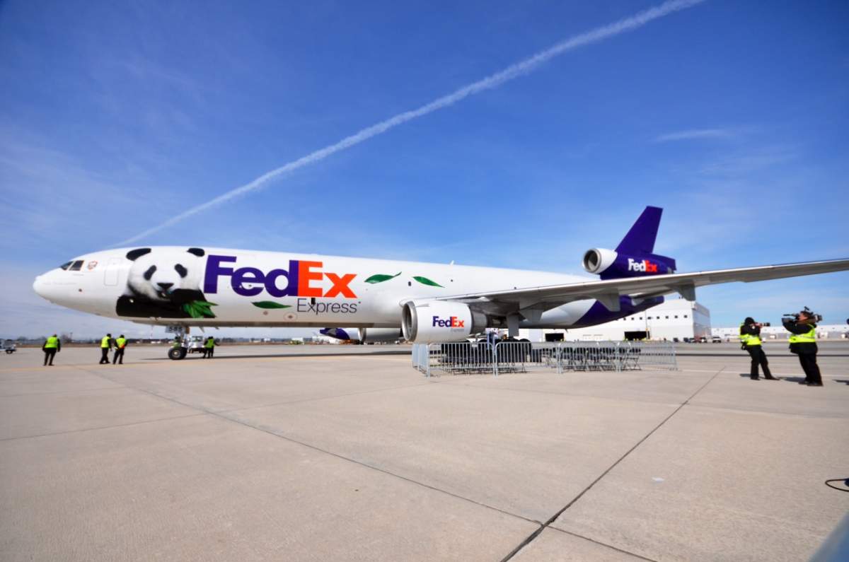 Pandas Toronto FedEx