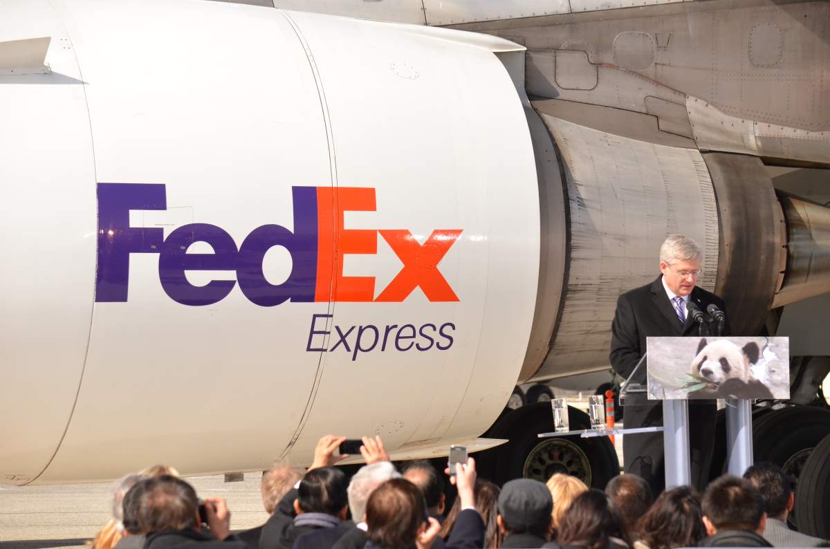 Pandas Fedex Toronto