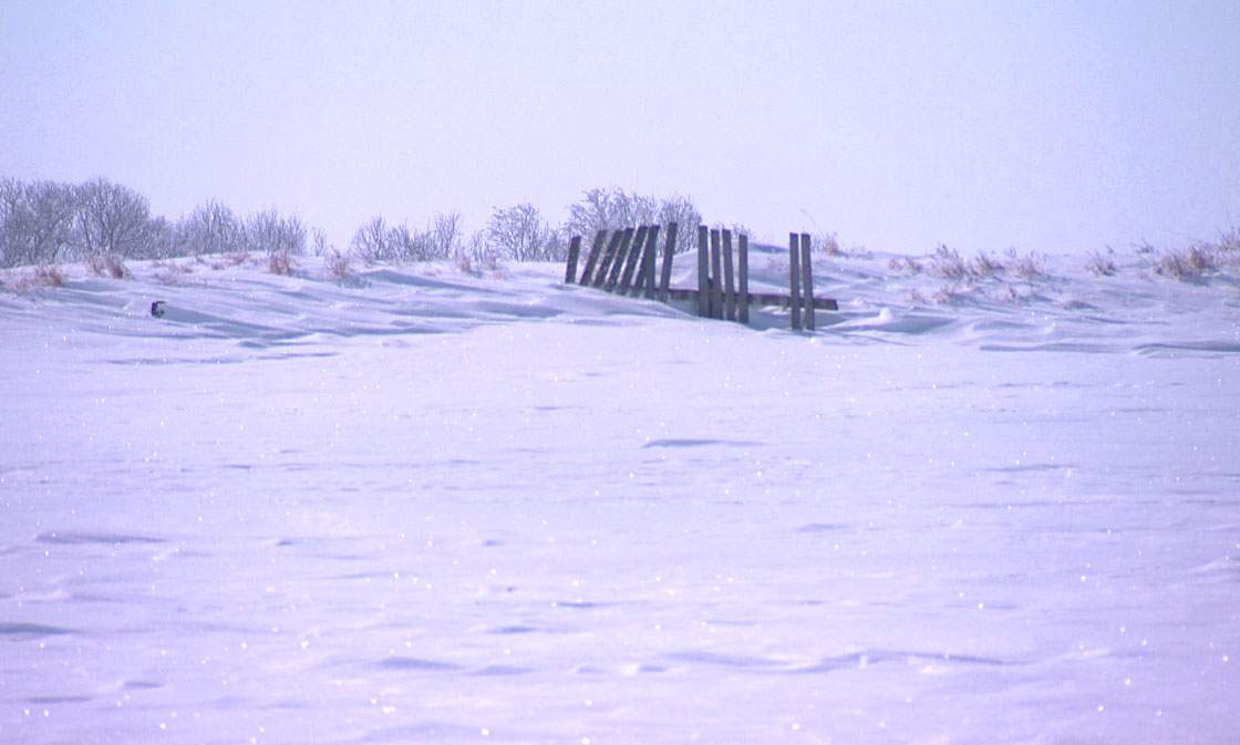Saskatchewan environmental and conservation groups want community pastures formerly overseen by Ottawa kept public.