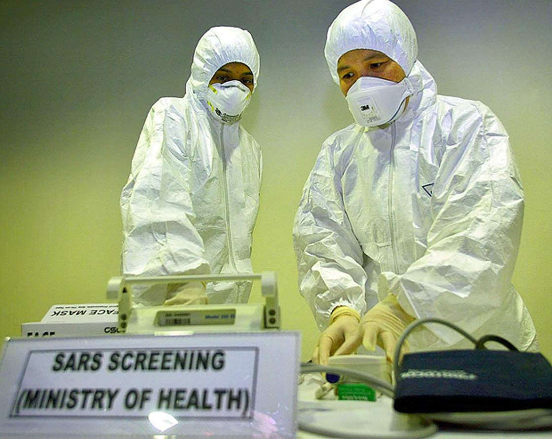 A consortium of international scientists has discovered a SARS-like virus recovered from a Chinese horseshoe bat.