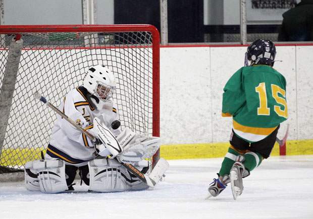 Hockey Canada is implementing a rule of smaller ice surface for children aged three to six.