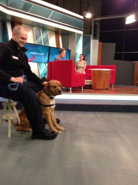Wednesday, April 10 Global Edmonton Morning News - image