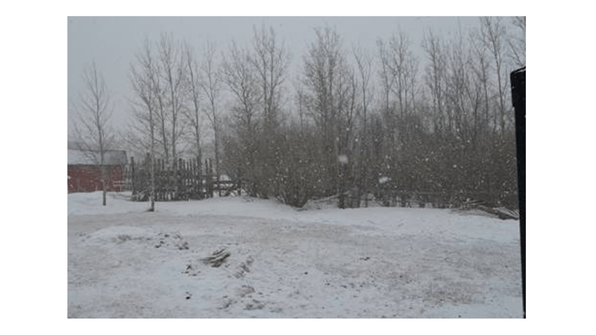 More flurries for parts of central Manitoba.This was taken today at 12:00pm in Erickson.