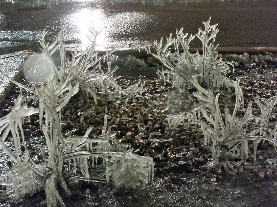 Shrubs are covered in ice in Brampton, Ontario on April 12, 2013. Environment Canada issued an ice storm warning Friday morning for a large portion of the Greater Toronto Area.  