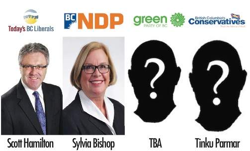 Decision BC: Delta North - image