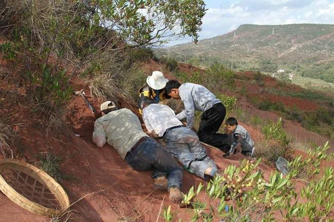 This image released by the University of Toronto shows field crew and volunteers working at the Dawa embryonic bonebed site near the city of Lufeng, in Yunnan, China. An international team of scientists discovered a cache of dinosaur embryos estimated to be 190 million years old, the fossilized bones are among the oldest dinosaur embryos in the world.