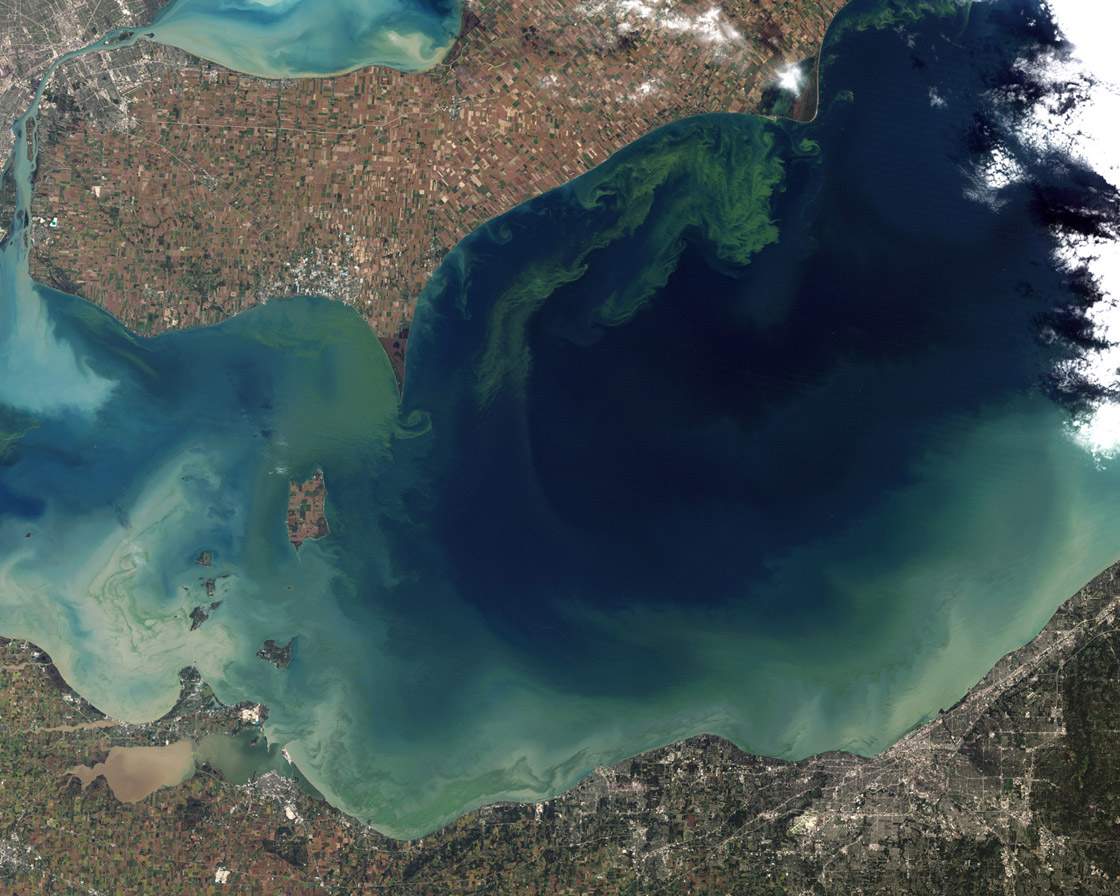 Lake Erie algae bloom of 2011