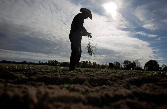 A high-ranking European official says only agricultural issues stand in the way of a Canada-European Union trade deal