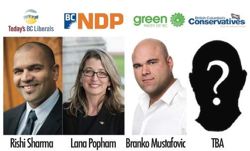 Decision BC: Saanich South - image