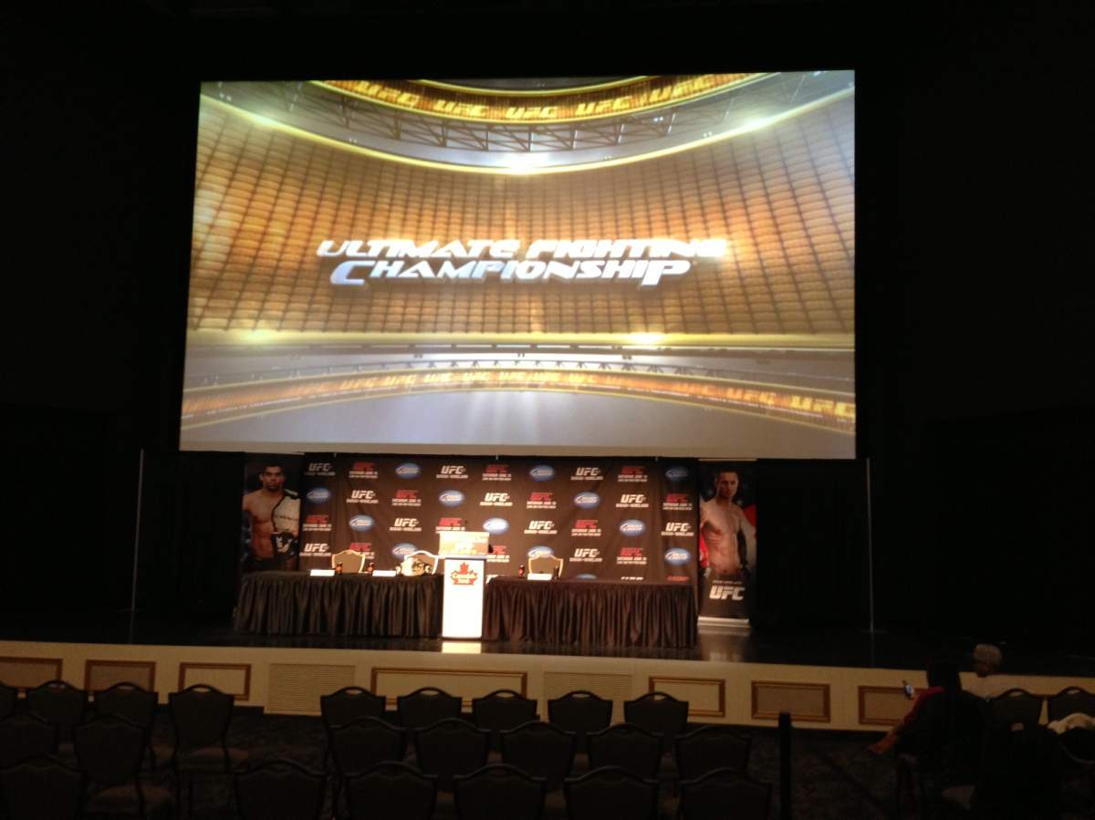 ufc ultimate fighting championship