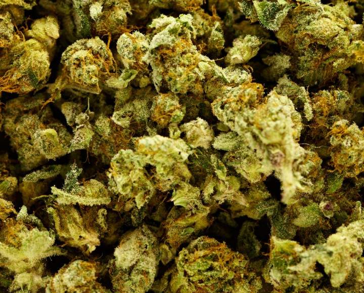 A speeding Lloydminster driver was busted by the RCMP with over three pounds of marijuana.