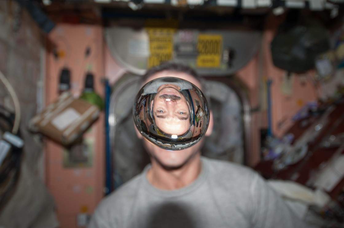 Sons pushed Hadfield to become social media supernova - image