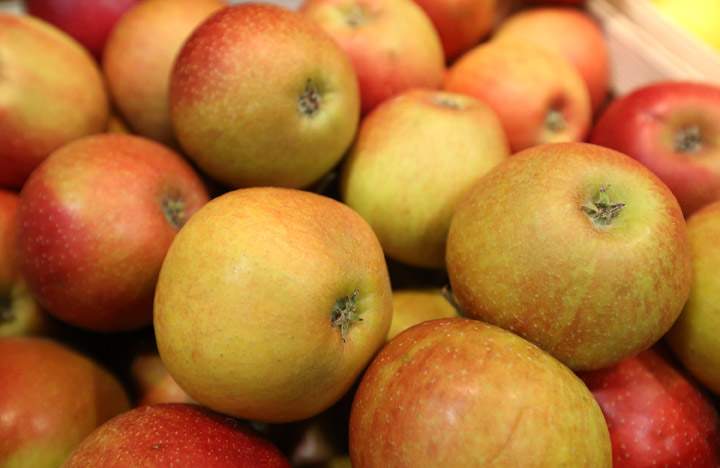 A new report says nearly one in eight Canadian households couldn't access sufficient, safe and nutritious food in 2011.