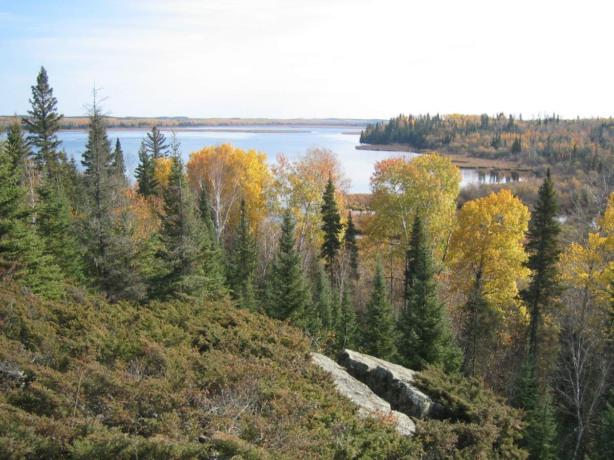 Manitoba and Ontario have spent millions of dollars trying to have a vast stretch of boreal forest declared a UNESCO world heritage site.