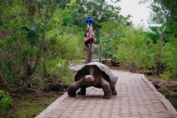 Mountain View, Calif.,-based Google sent hikers to the Galapagoswith Street View gear called “trekkers,” 42-pound computerbackpacks with large, soccer ball-like cameras mounted on a tower.