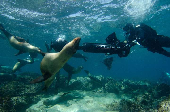 Mountain View, Calif.,-based Google sent hikers to the Galapagos
with Street View gear called "trekkers," 42-pound computer
backpacks with large, soccer ball-like cameras mounted on a tower.
