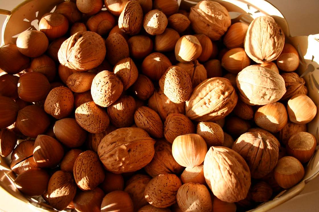 Why you should eat nuts