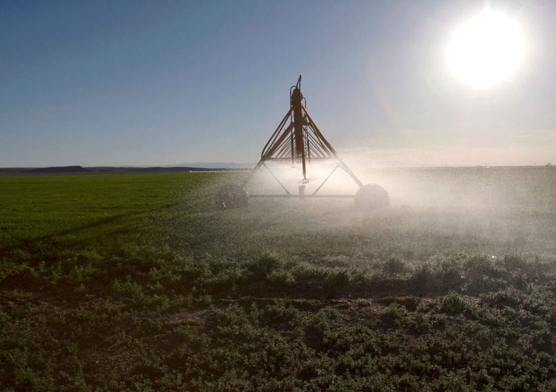Federal, Saskatchewan governments splash out $65 million to quench farm irrigation needs.