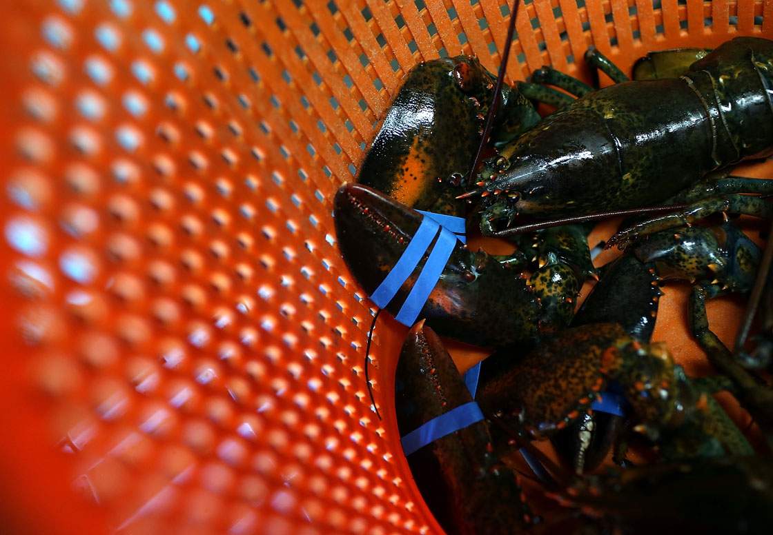 Lobster fishermen from Bay St. Lawrence to Gabarus say they've stopped their protest over slumping lobster prices after reaching an agreement with processors.